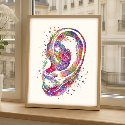 Ear Anatomy Wall Art – Outer Ear Print