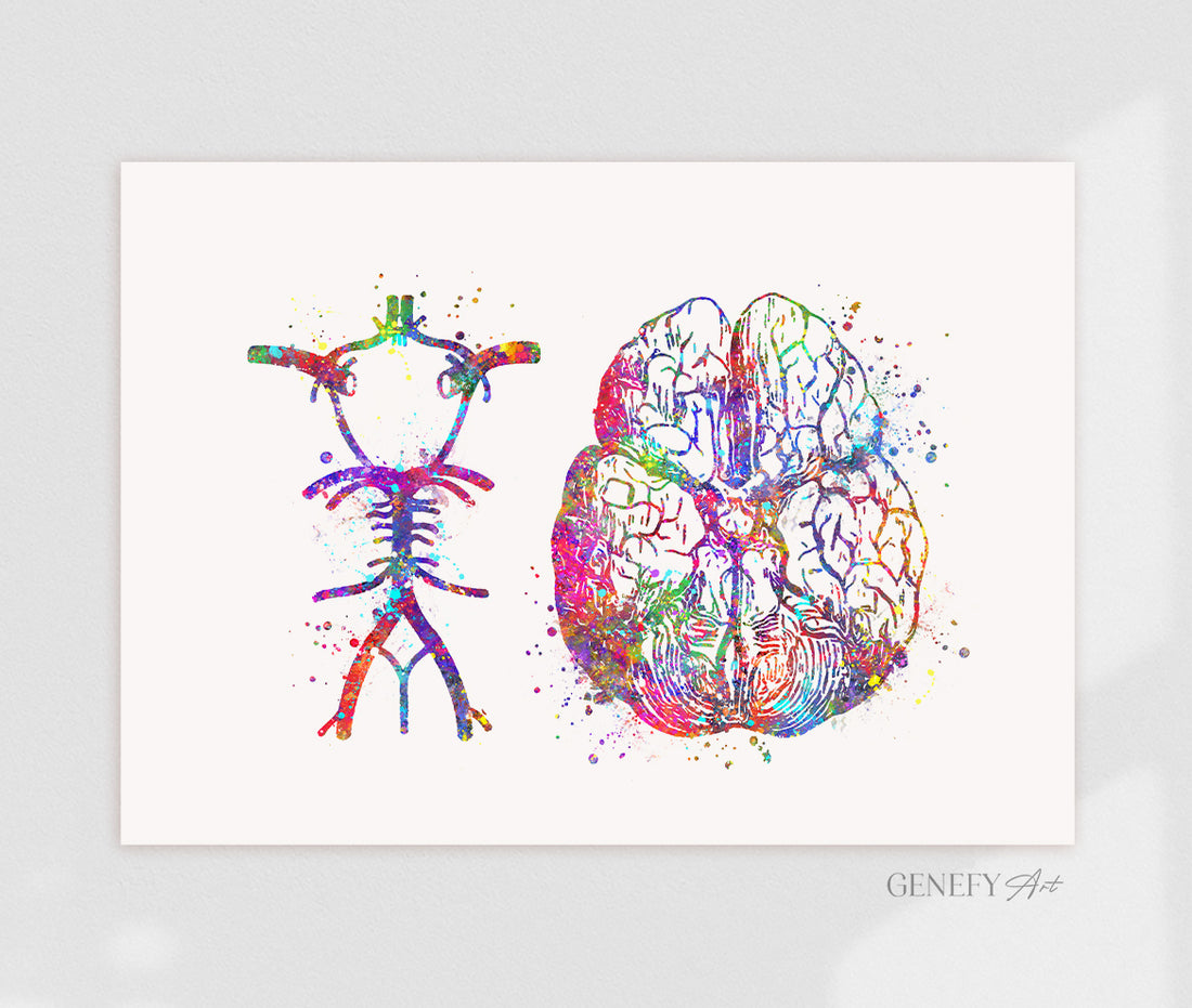 Circle Of Willis Watercolour Art Print