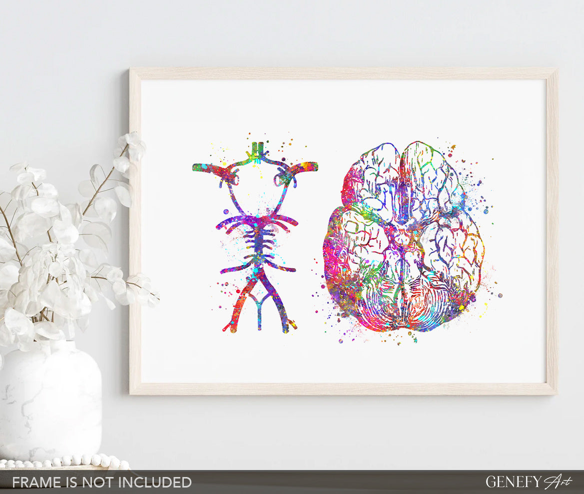Circle Of Willis Watercolour Art Print