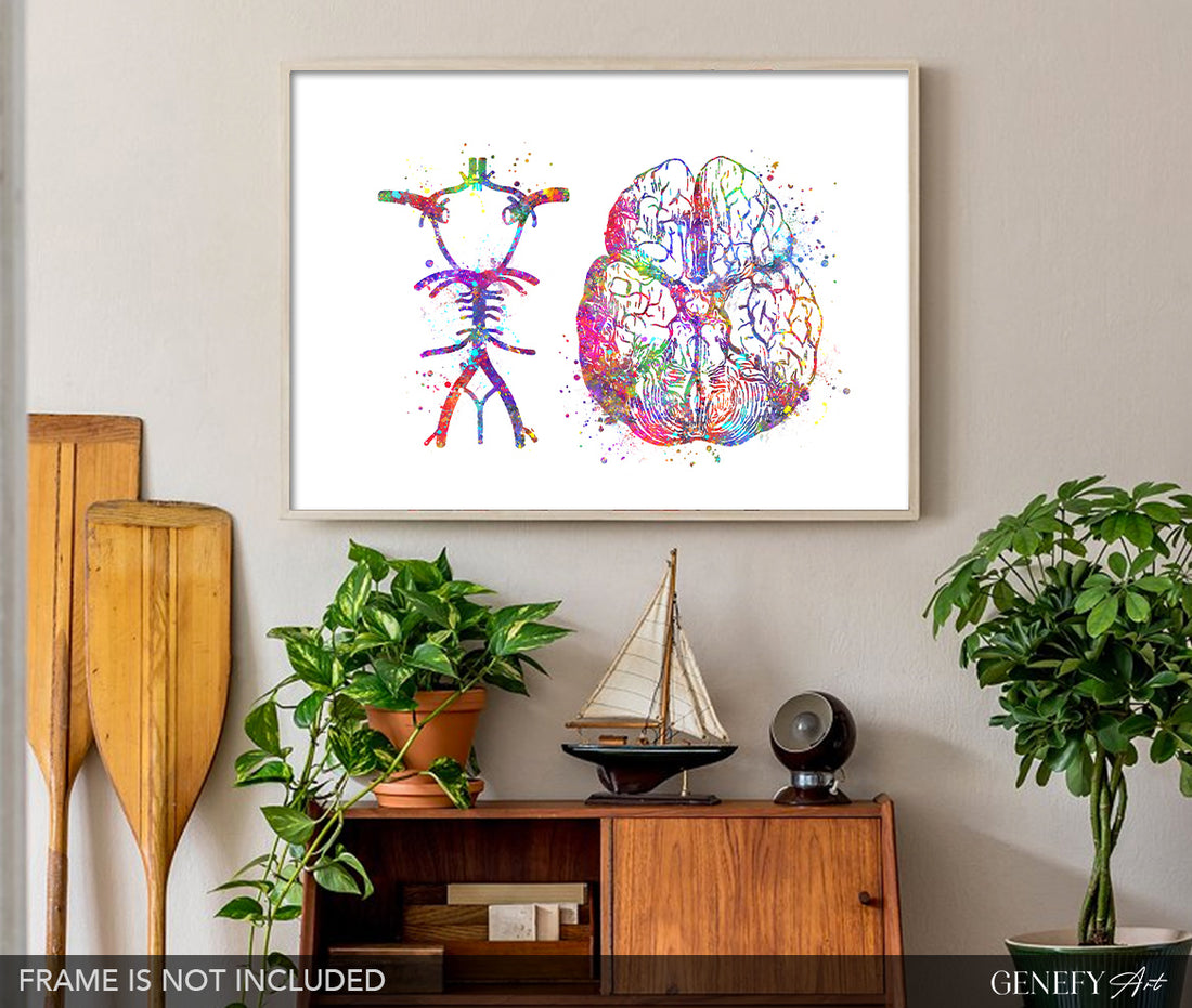 Circle Of Willis Watercolour Art Print