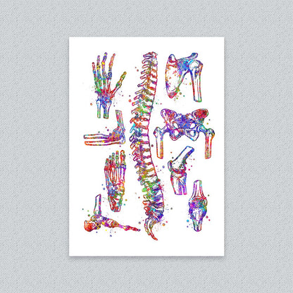 Bone Anatomy Watercolour Art Print – Skeletal System Wall Decor