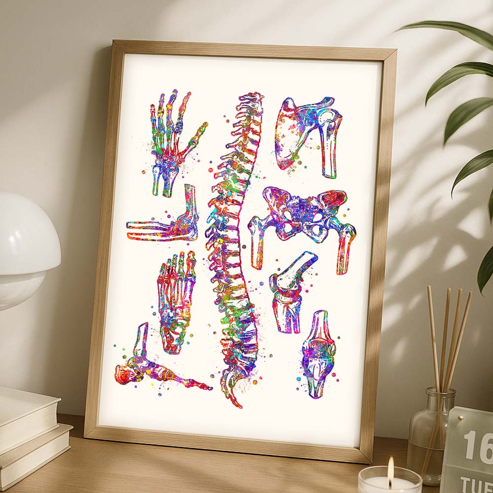 Bone Anatomy Watercolour Art Print – Skeletal System Wall Decor