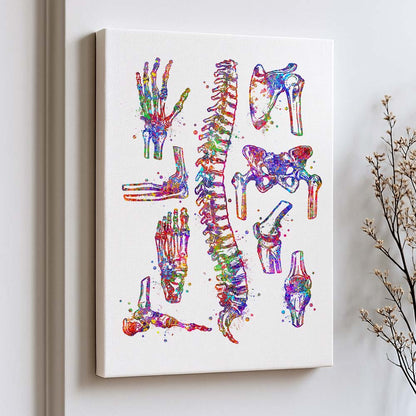 Bone Anatomy Watercolour Art Print – Skeletal System Wall Decor