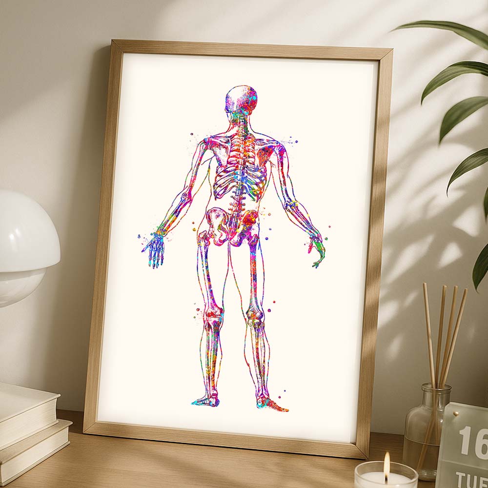 Human Skeleton Poster – Back View Anatomy Art Print