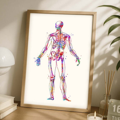 Human Skeleton Poster – Back View Anatomy Art Print
