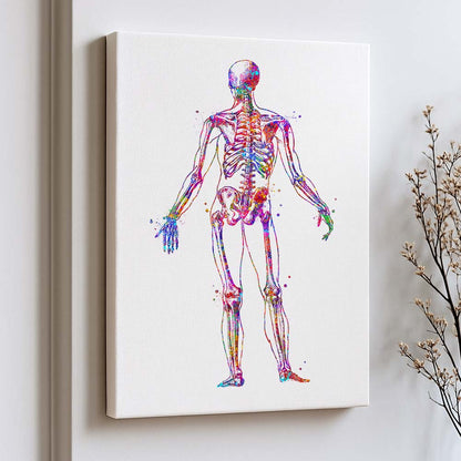 Human Skeleton Poster – Back View Anatomy Art Print
