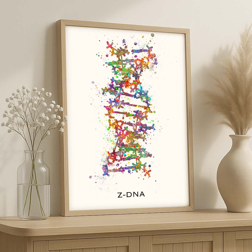 Z-DNA Structure Art Print – Molecular Biology Wall Decor