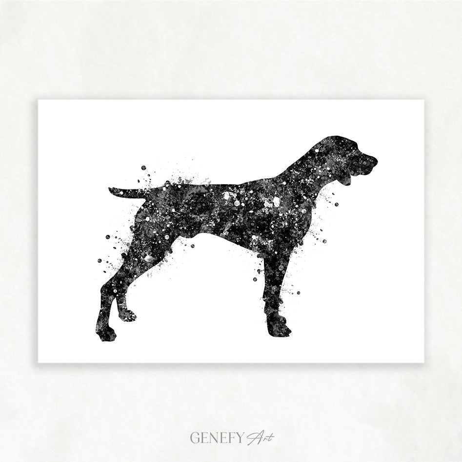 German Shorthaired Pointer Black and White Art Print