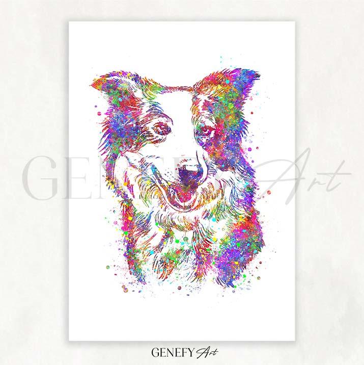 Border Collie Watercolour Print - Genefy Art