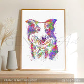 Border Collie Watercolour Print - Genefy Art