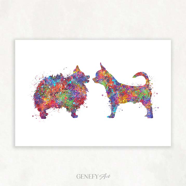 Pomeranian and Chihuahua Art