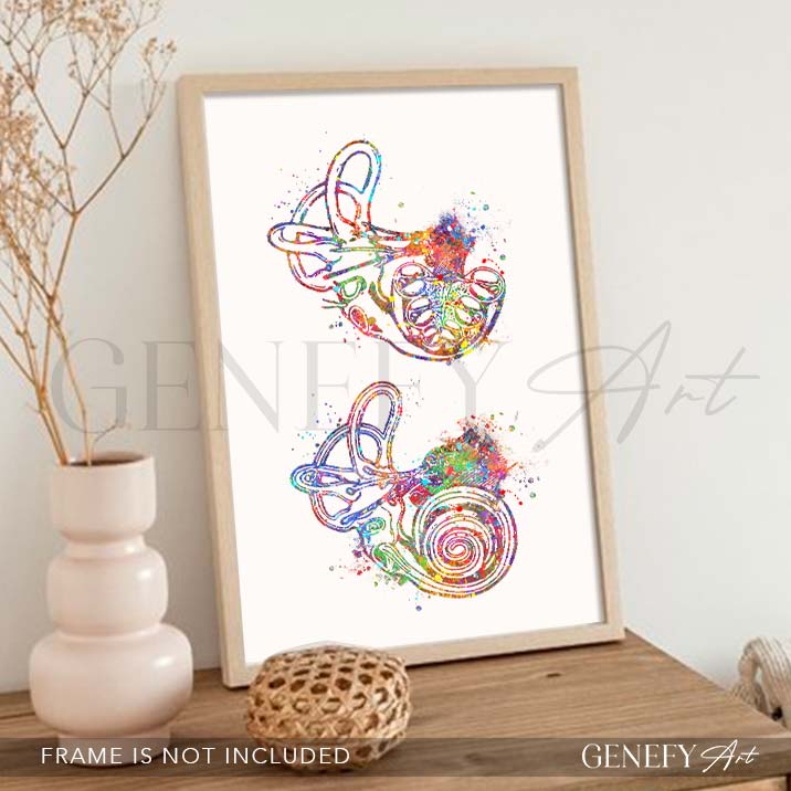 Cochlea of Inner Ear Anatomy Watercolour Print