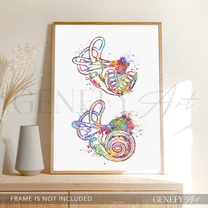 Cochlea of Inner Ear Anatomy Watercolour Print