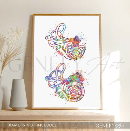 Cochlea of Inner Ear Anatomy Watercolour Print
