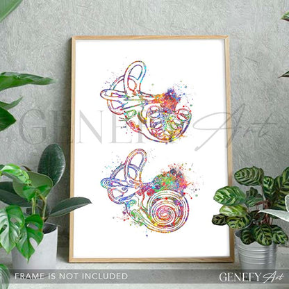 Cochlea of Inner Ear Anatomy Watercolour Print