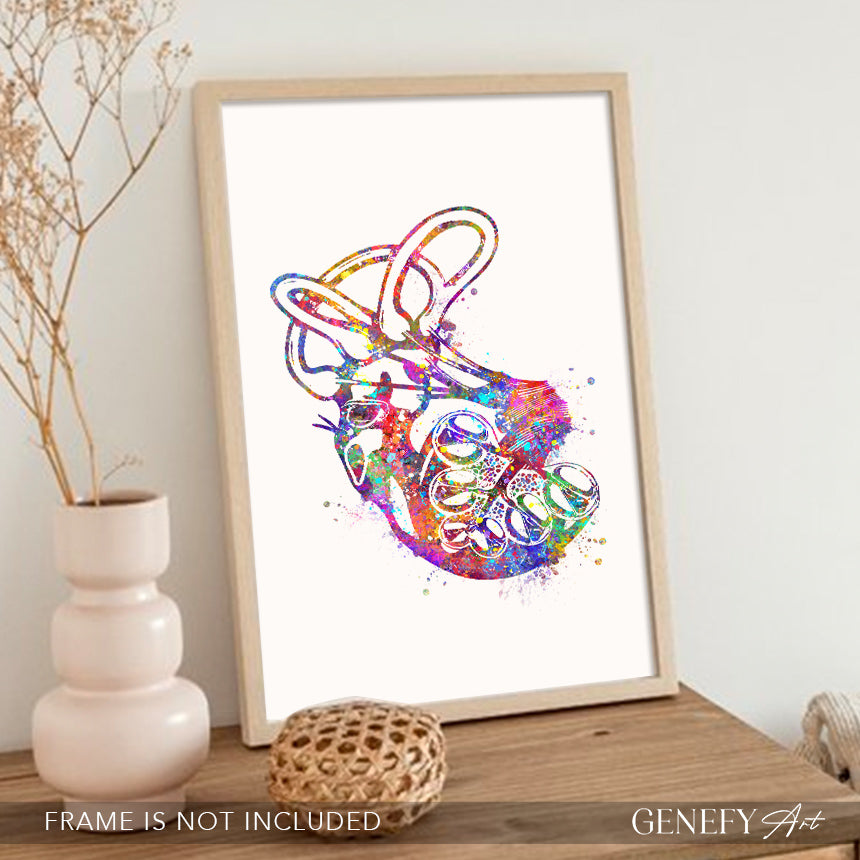 Cochlea of Inner Ear Anatomy Watercolour Print