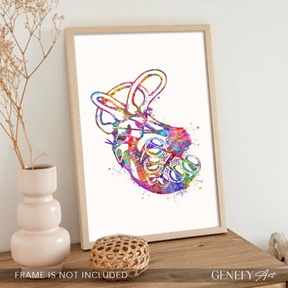 Cochlea of Inner Ear Anatomy Watercolour Print