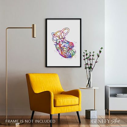 Cochlea of Inner Ear Anatomy Watercolour Print