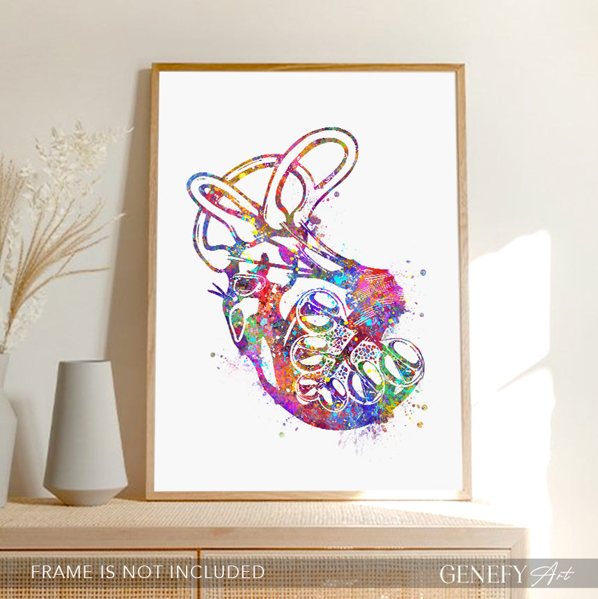 Cochlea of Inner Ear Anatomy Watercolour Print