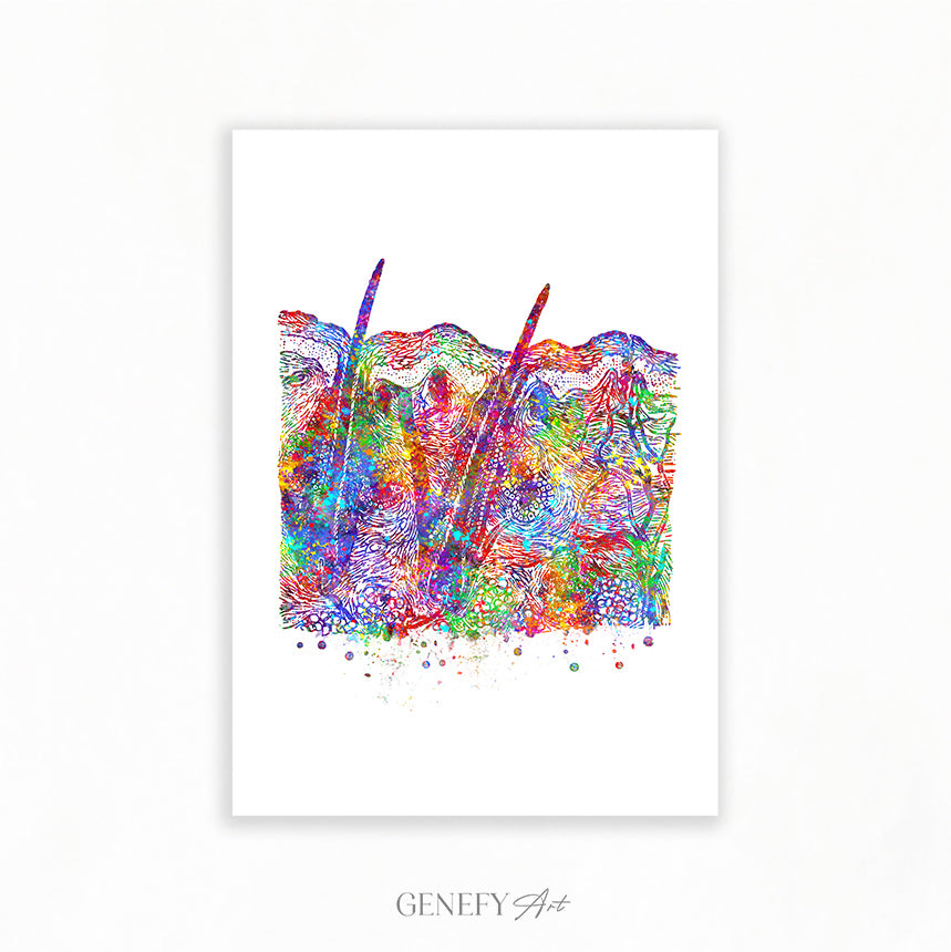 Cross Section of Skin Art Print