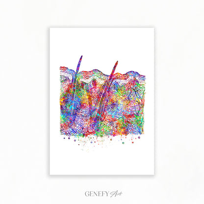 Cross Section of Skin Art Print