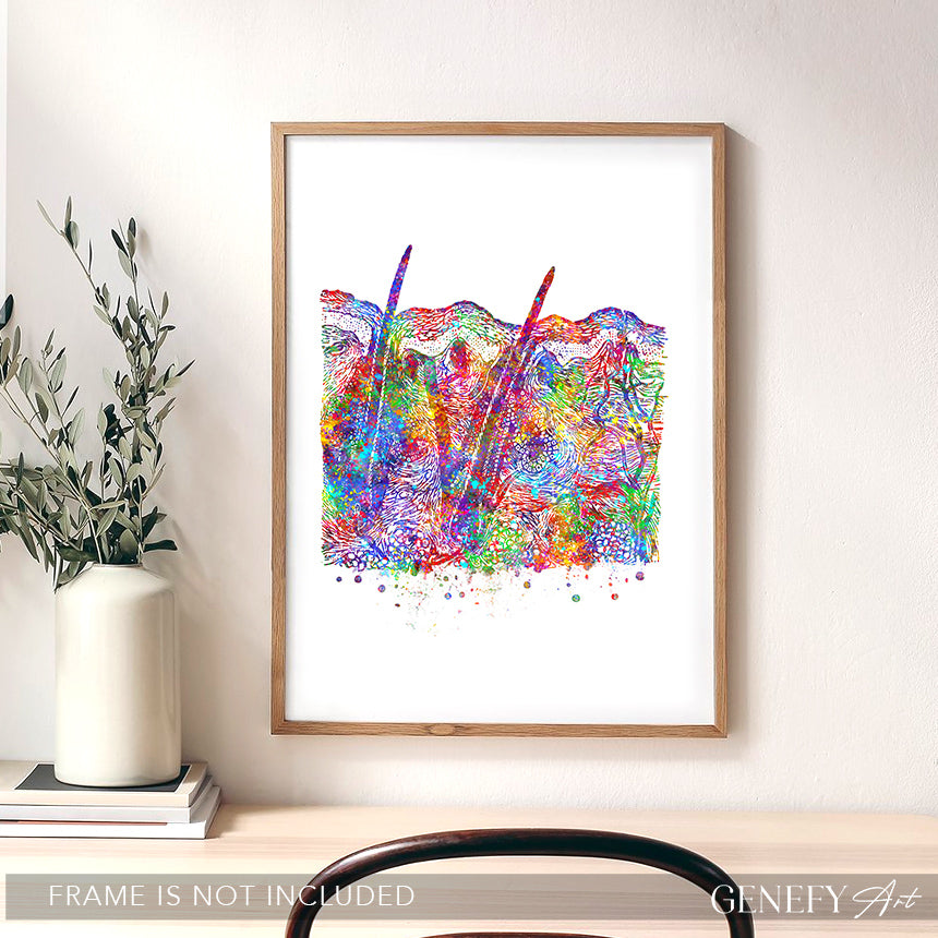 Cross Section of Skin Art Print