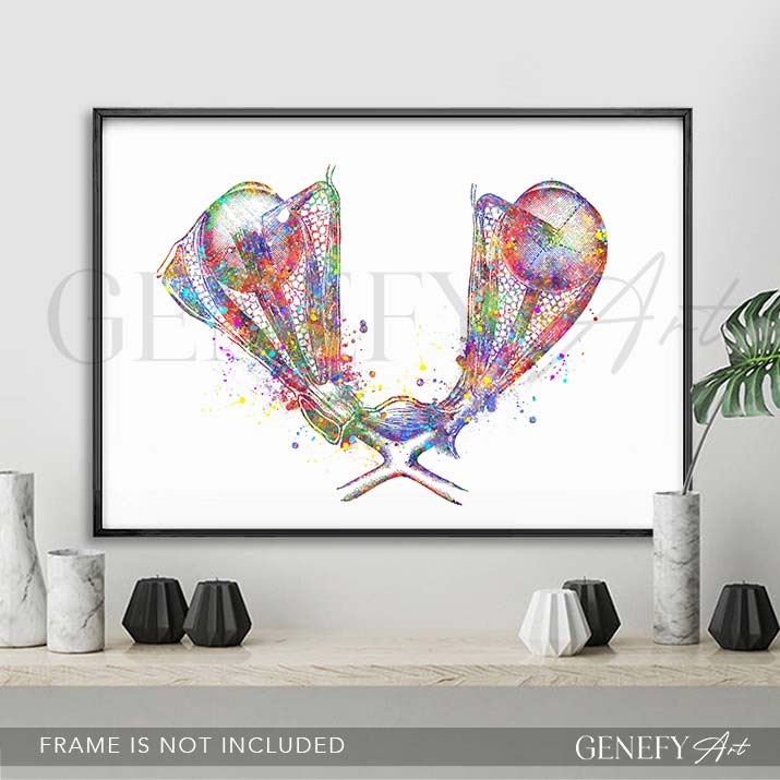 Eye Muscles Anatomy Watercolour Print
