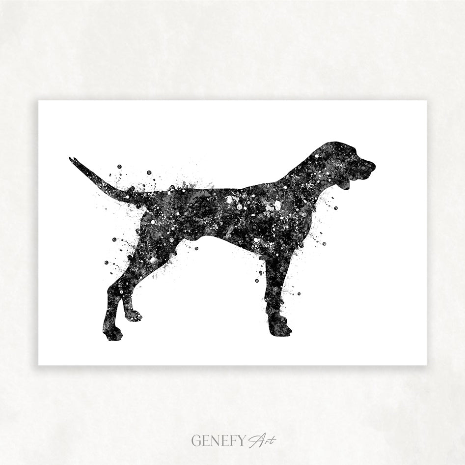 German Shorthaired Pointer Black and White Art Print