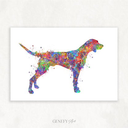 German Shorthaired Pointer Watercolour Print - Genefy Art