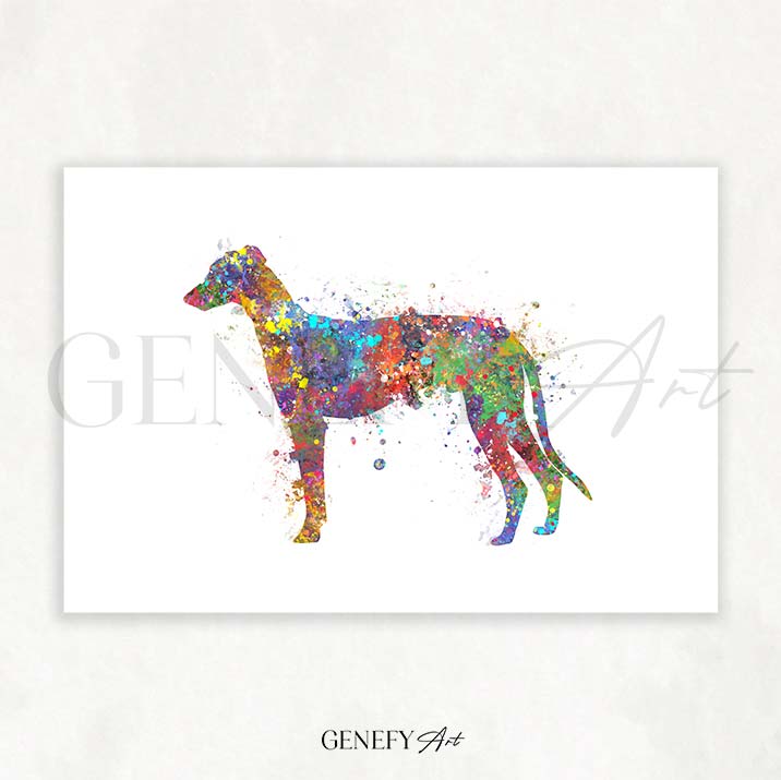 Greyhound Watercolour Print - Genefy Art