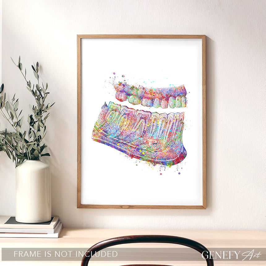 Mouth Anatomy Hard Palate and Teeth Art Print