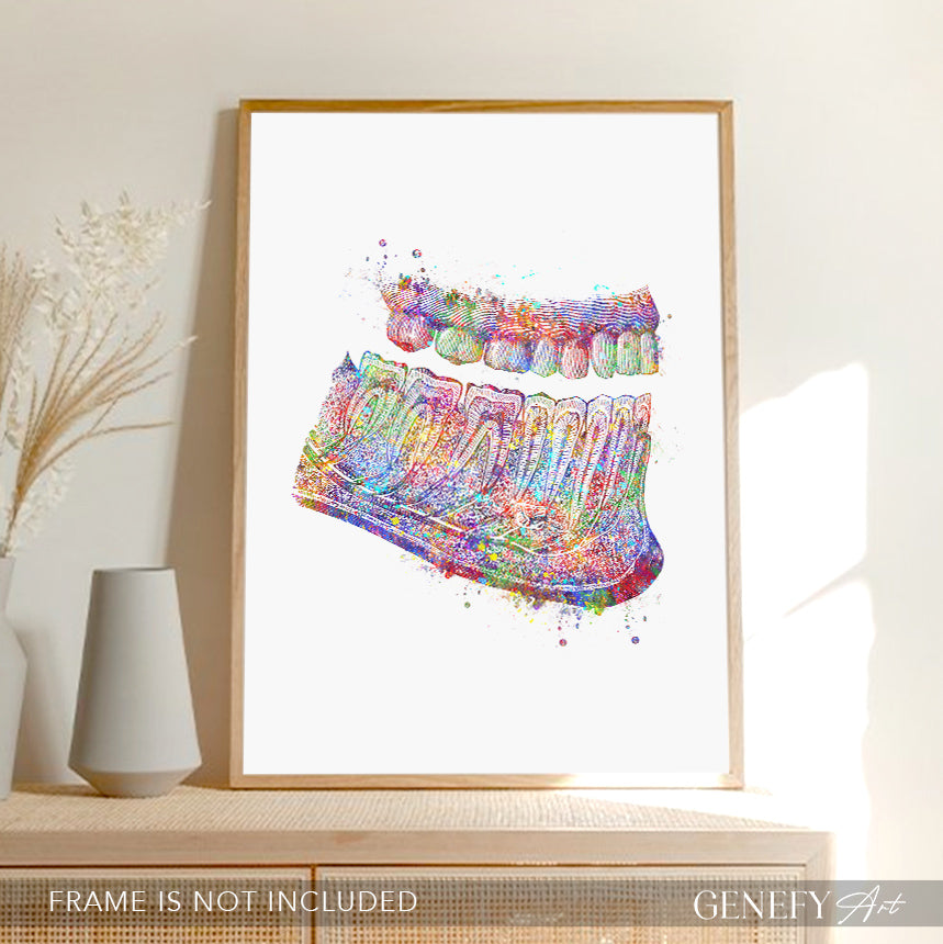 Mouth Anatomy Hard Palate and Teeth Art Print