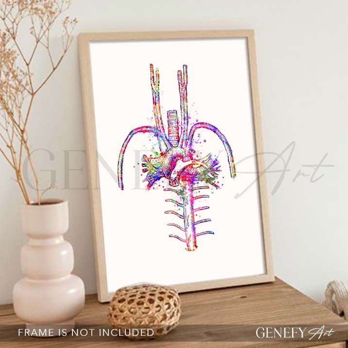 Heart Blood Vessels Watercolour Art Print