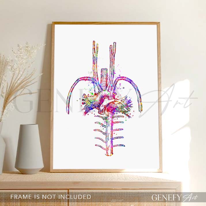 Heart Blood Vessels Watercolour Art Print