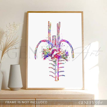 Heart Blood Vessels Watercolour Art Print