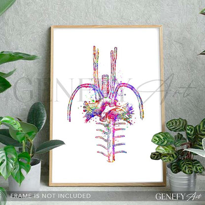 Heart Blood Vessels Watercolour Art Print