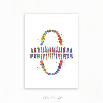 Teeth Chart Watercolour Print - Genefy Art