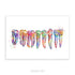 Teeth, Root, Molar, Incisor Watercolour Art Print