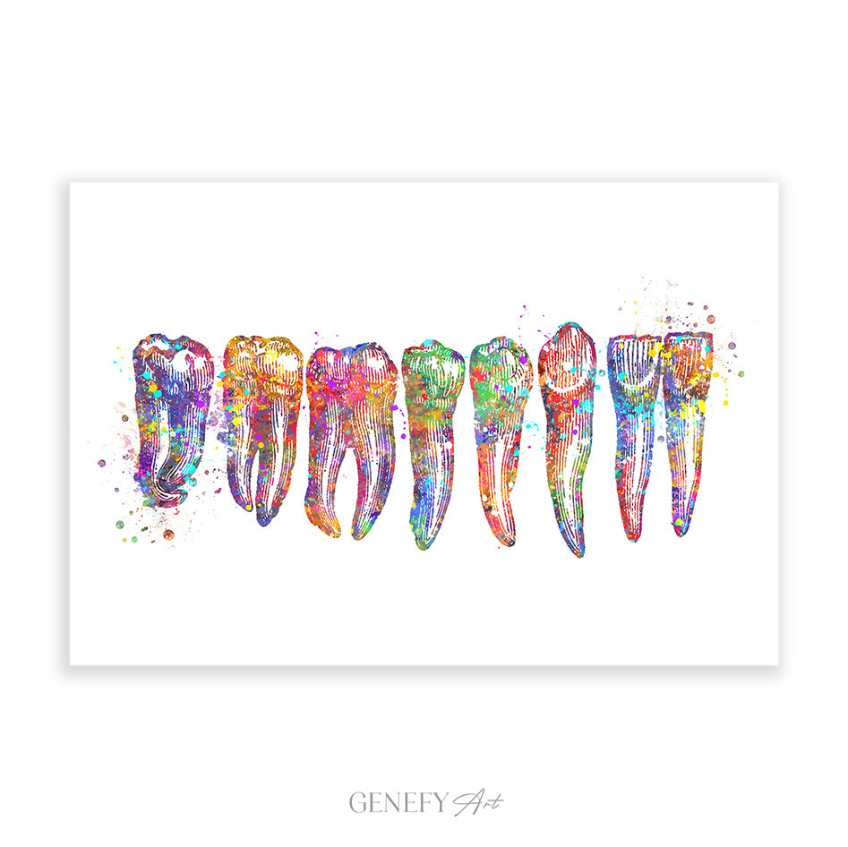 Teeth, Root, Molar, Incisor Watercolour Art Print