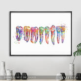 Teeth, Root, Molar, Incisor Watercolour Art Print