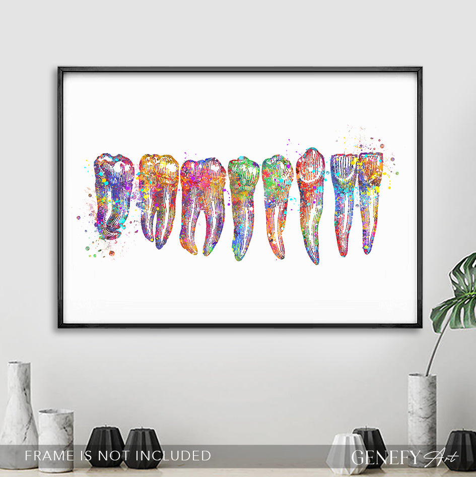 Teeth, Root, Molar, Incisor Watercolour Art Print