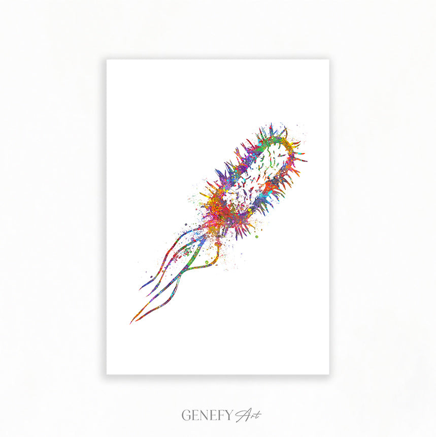 Listeria Monocytogenes Watercolour Print