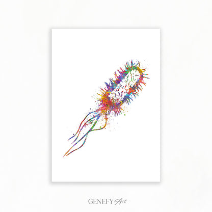 Listeria Monocytogenes Watercolour Print