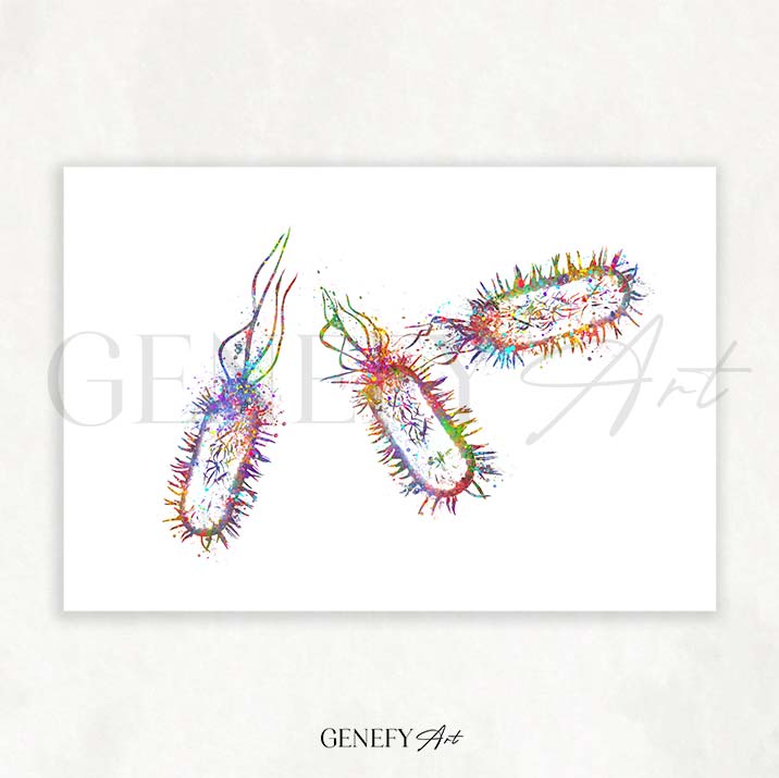 Listeria Monocytogenes Watercolour Print