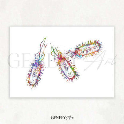 Listeria Monocytogenes Watercolour Print