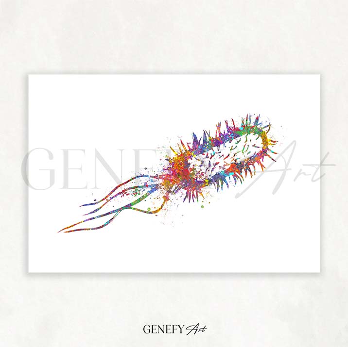 Listeria Monocytogenes Watercolour Print