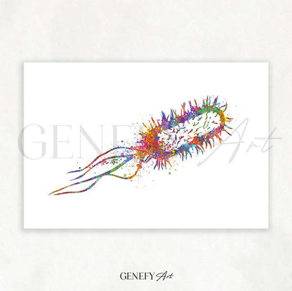 Listeria Monocytogenes Watercolour Print