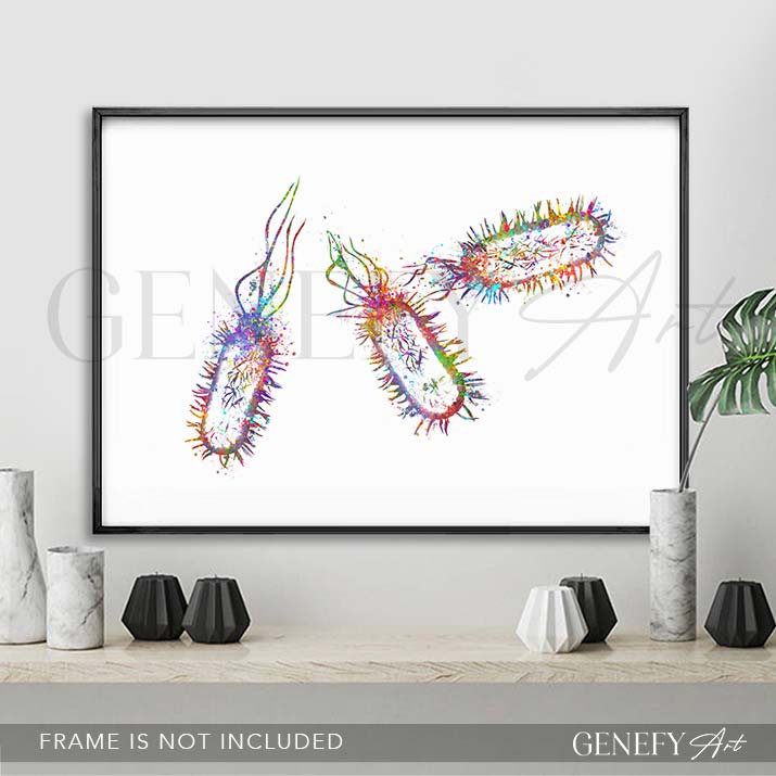 Listeria Monocytogenes Watercolour Print