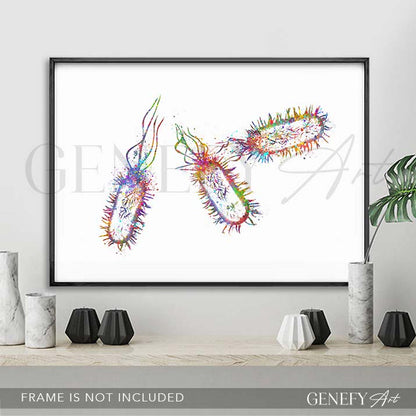Listeria Monocytogenes Watercolour Print