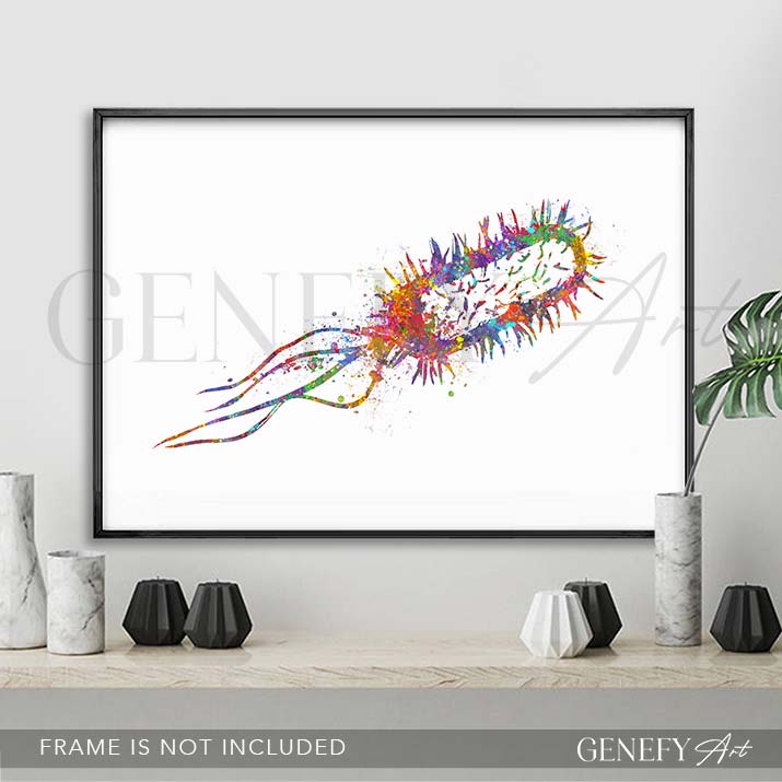 Listeria Monocytogenes Watercolour Print